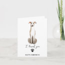 Search for greyhound birthday cards Pets