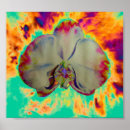 Search for floral fun posters Tropical