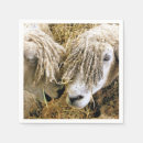 Search for sheep napkins Farm animals