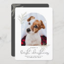 Search for pet dog christmas cards Modern