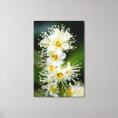 Search for petite canvas prints Floral