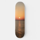 Search for nature skateboards Orange
