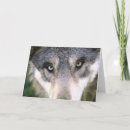 Search for wolf birthday Puppy