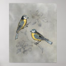 Search for aviary posters Grey