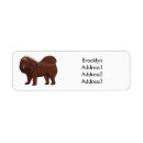 Search for mountain dog return address labels Pet