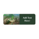 Search for tree frog return address labels Amphibian
