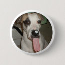 Search for pit bulls accessories Animals