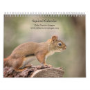 Search for squirrel calendars Rodent