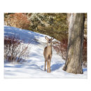 Search for single looking posters Animal