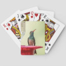 Search for hummingbird playing cards Beautiful
