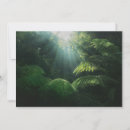 Search for rainforest cards Nature