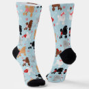 Search for poodle socks Pet