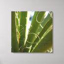 Search for abstract photography art Green