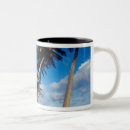Search for greg mugs Palm tree