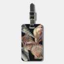 Search for seashell decorations accessories Sea life