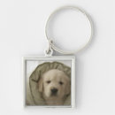 Search for animal body part key rings Indoors