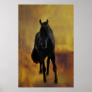 Search for horse breeds posters Friesian