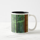 Search for kyoto japan mugs Rob tilley