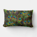 Search for peacock feather cushions Wild