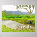 Search for mountains in clouds posters Kauai
