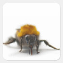 Search for bee image stickers Cute