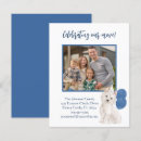 Search for westy Westie