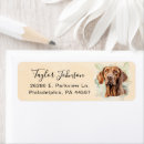 Search for vizsla return address labels Dog