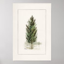 Search for pear tree Vintage