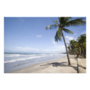 Search for trinidad and tobago art Travel