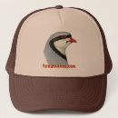 Search for feed hats Animal
