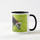 Search for grazing mugs Horizontal