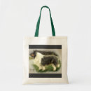 Search for rough bags Cute