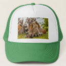 Search for mammals hats Wildlife