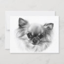 Search for chihuahua postcards Dog lover