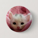 Search for kitty badges Pretty