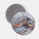 Search for sea turtle magnets Honu