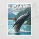 Search for breach postcards Whale