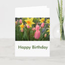 Search for tulip flower birthday cards Pink