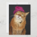 Search for beret cards Cat