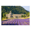 Search for monastic posters Cistercian