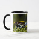 Search for vertebrate mugs David northcott