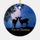 Search for 1st together christmas tree decorations Couples