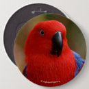 Search for lady in red badges Green