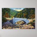 Search for mohawk posters Trail