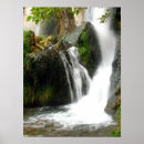 Search for veiled posters Nature