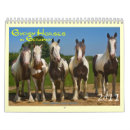 Search for gypsy gifts Tinker