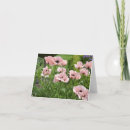 Search for poppy thank you cards Nature