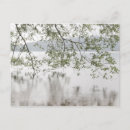 Search for spring rain postcards Landscape