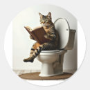 Search for cute cat design stickers Funny