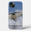 Search for canada ipad cases Wildlife